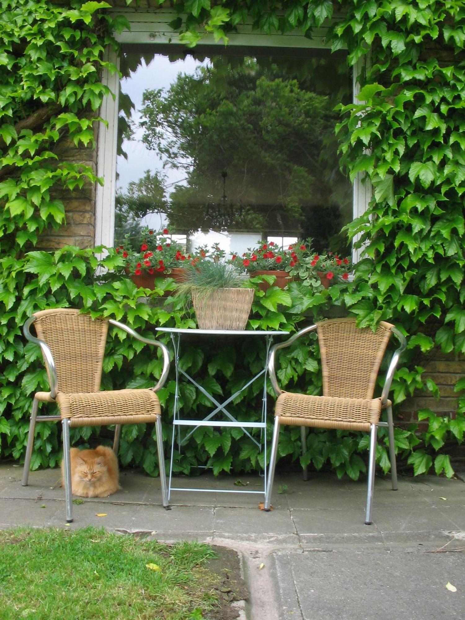 B&B Villa Vanilla Ieper Exterior foto